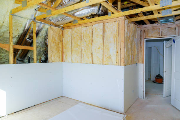 Best Cellulose Insulation  in Irwin, SC