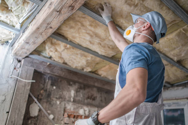 Best Spray Foam Insulation  in Irwin, SC