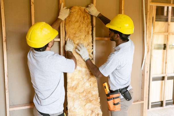 Best Insulation Contractor Near Me  in Irwin, SC