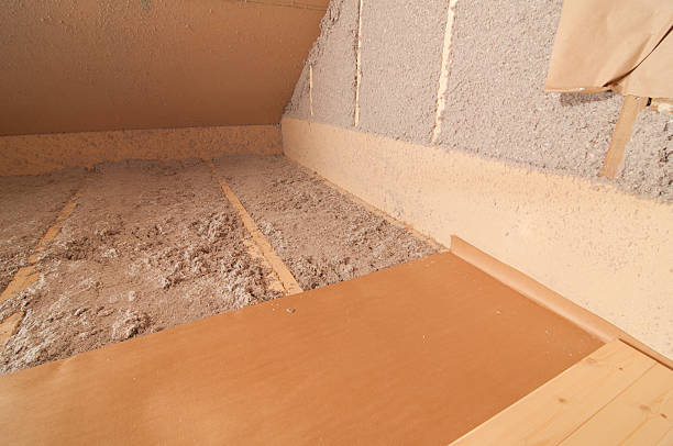 Best Insulation Removal  in Irwin, SC