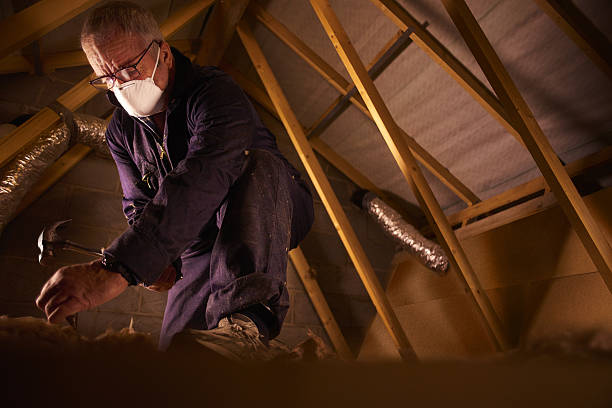 Best Insulation Installation Cost  in Irwin, SC